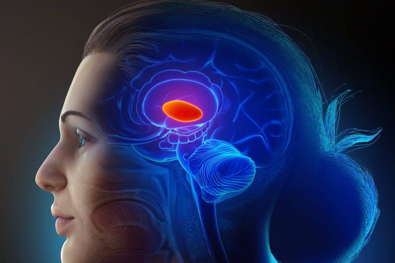 Détection Tumeurs Cérébrales